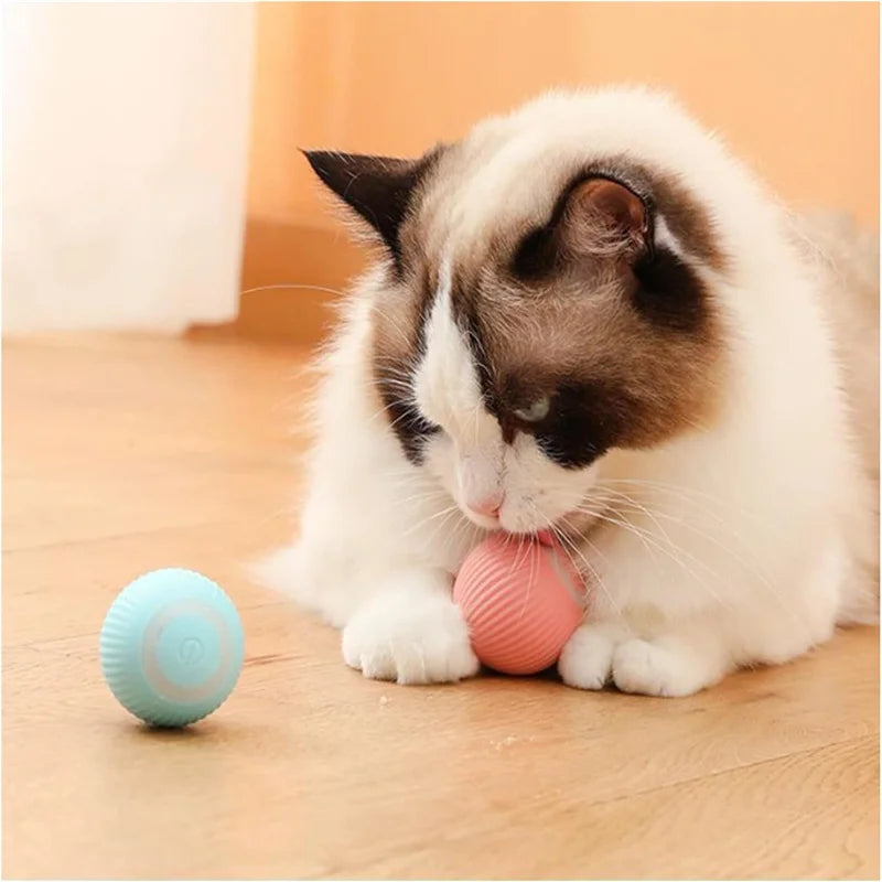 Smart Jump Ball Interactive Pet Toy (USB-C Rechargeable)