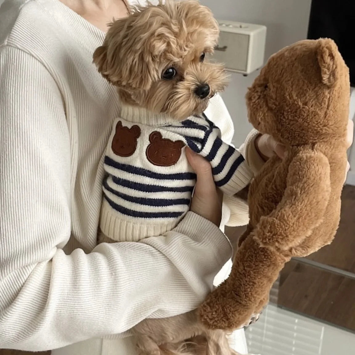 Striped Wool Dog Sweater (Autumn/Winter)