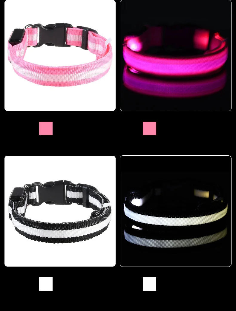 Necklace for Paws: Night Glow Collar