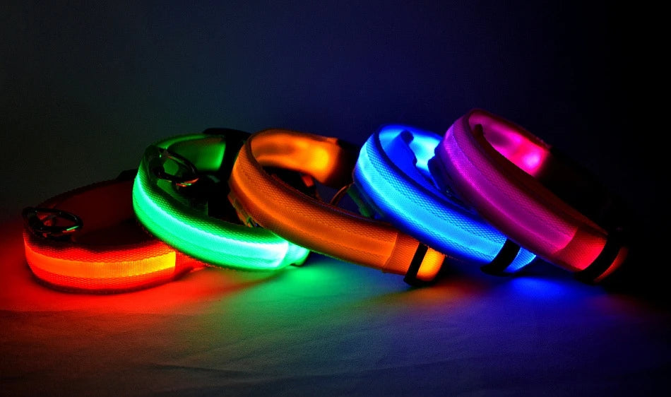 Necklace for Paws: Night Glow Collar
