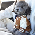 VarsityPaws Pet Baseball Jacket