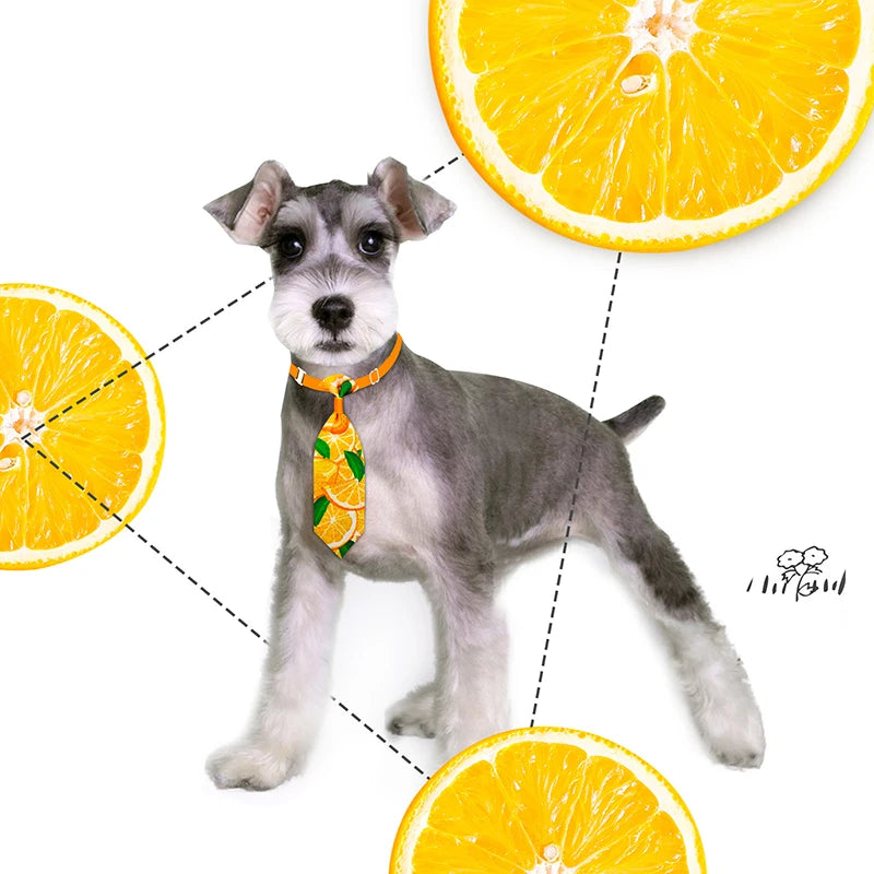 Colorful Pet Neckties Pack (10pcs)