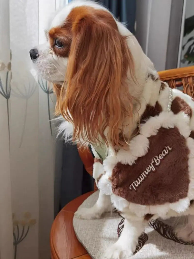Sweetheart Snuggle Hoodie