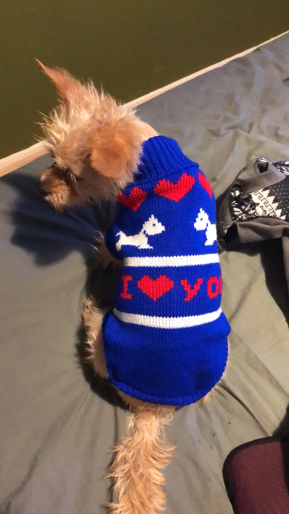 ❄️Snuggle Knit Winter Sweater for Dogs & Cats