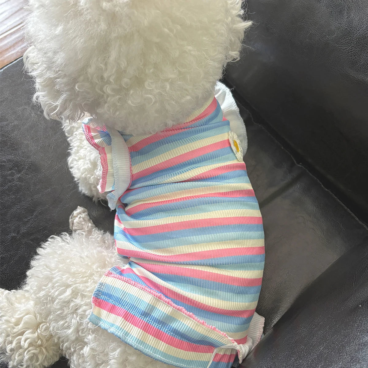 Rainbow Flower Summer Pet Dress Vest (Small Dogs & Cats) 🌈🌼