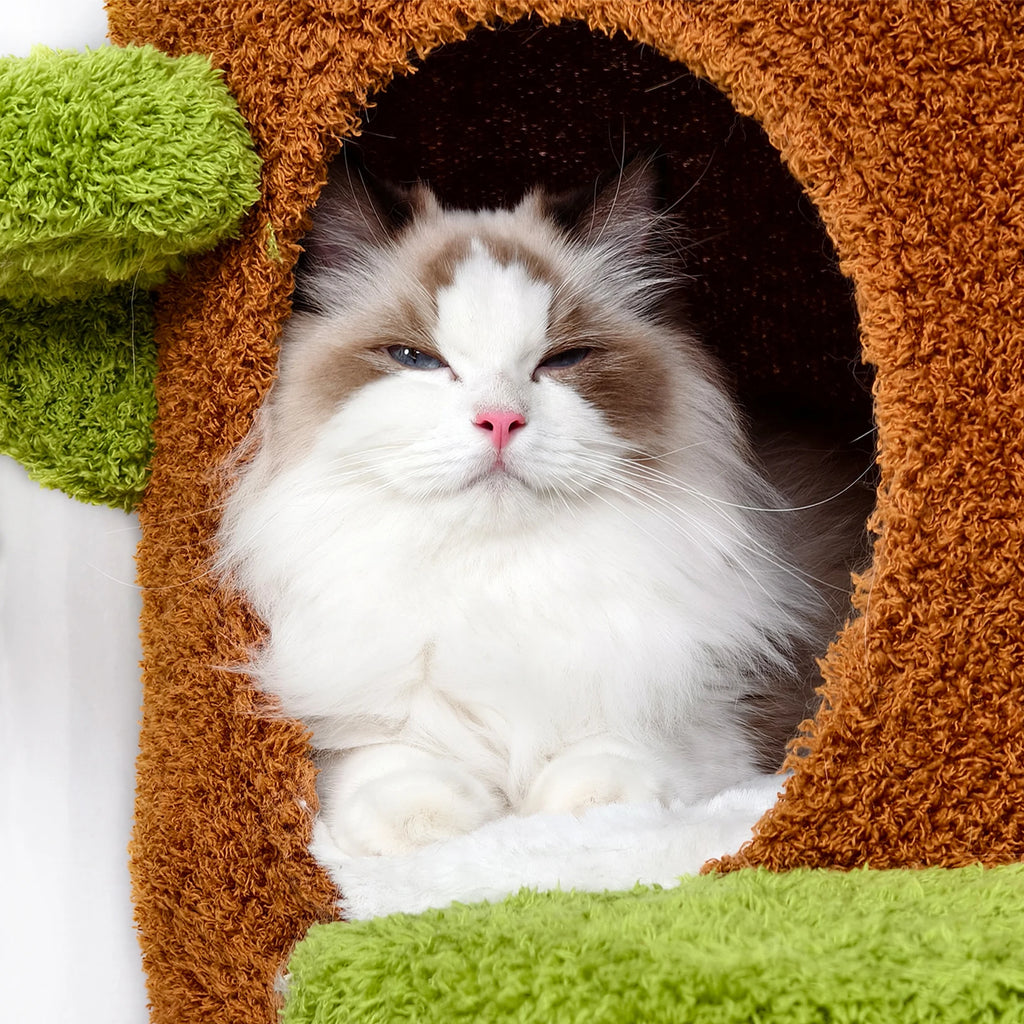 BINGOPAW 58” Tall Cat Activity Tree (Flower Platforms + Plush Condo + Sisal Scratcher)
