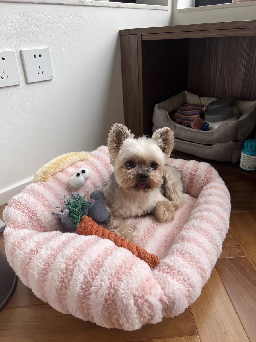 Mini Sofa Pet Bed (Cozy Linen Couch for Small Dogs & Cats) 🛋️🐾