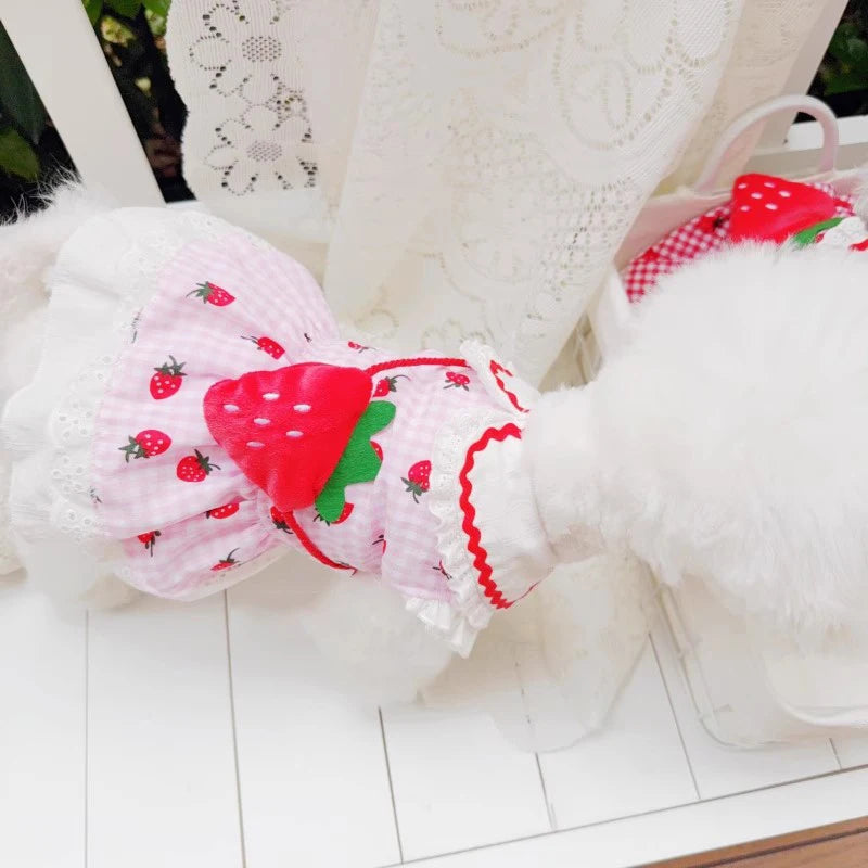 Strawberry Plaid Pet Dress (Dog & Cat) 🍓🎀