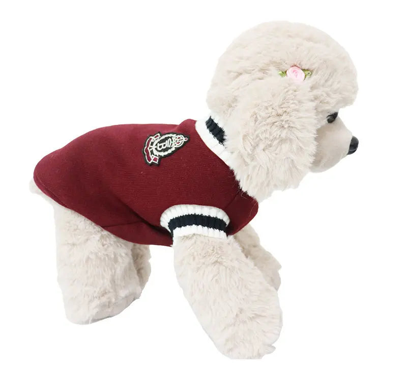 🐶Cozy V-Neck Knit Sweater