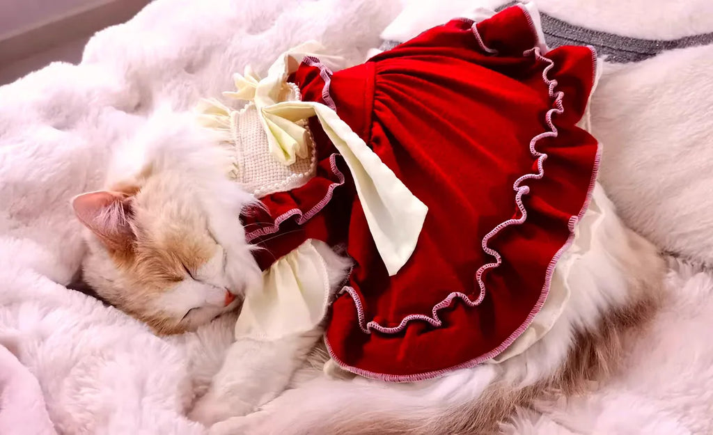 Lolita Bow Princess Dress for Cats & Small Dogs 🎀👑 (100% Cotton)
