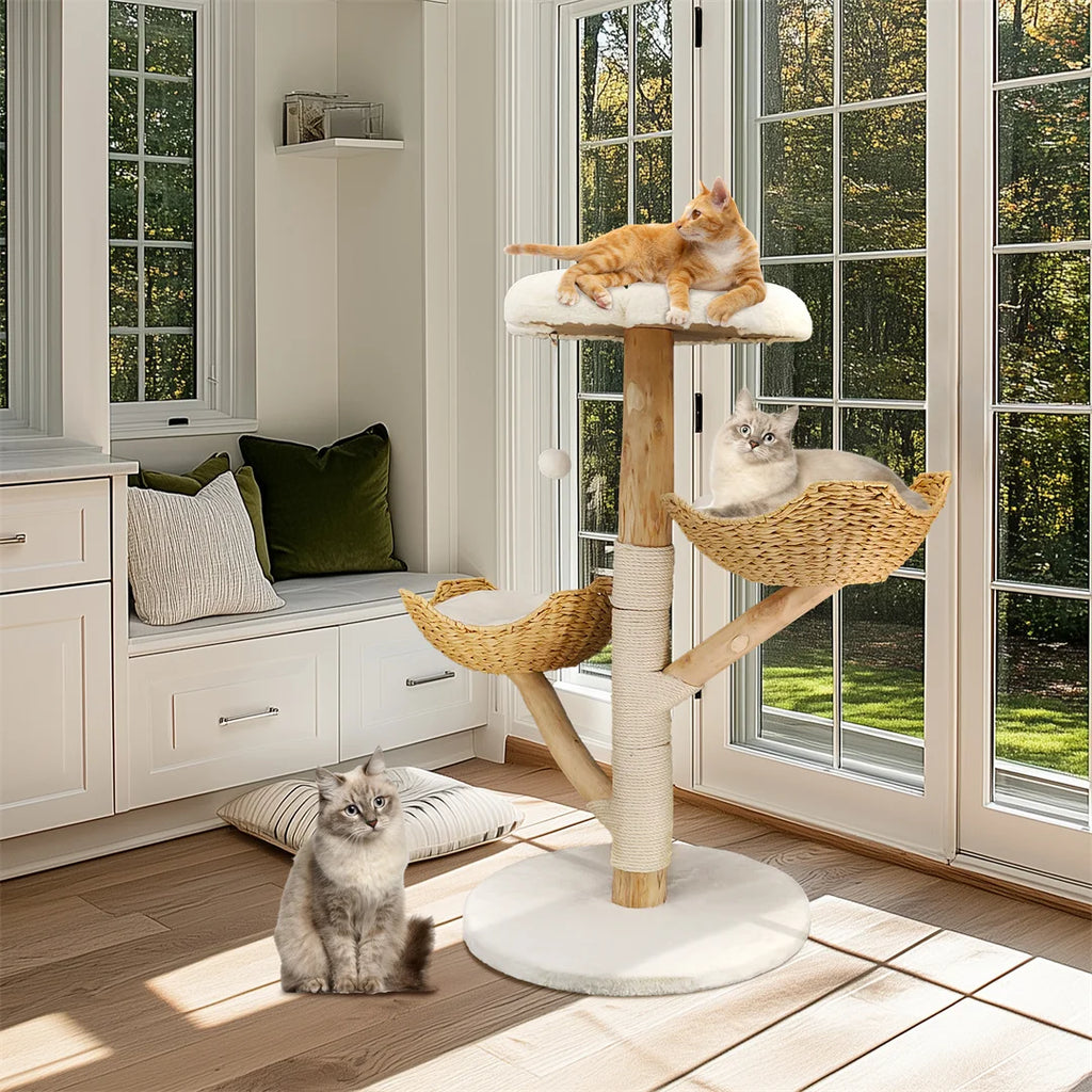 Modern Solid Wood Activity Tower for Indoor Cats