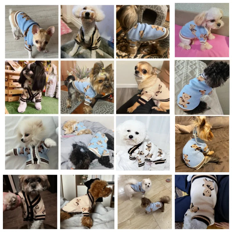 🍂Luxury Cotton Sweater for Small Dogs & Cats