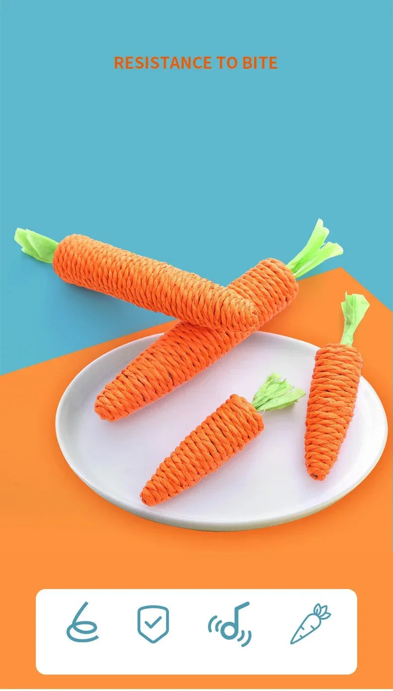 🥕Squeaky Carrot Cat Toy