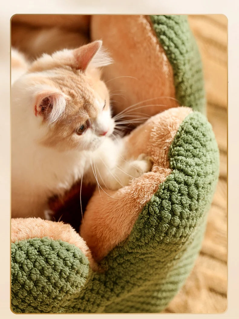 Cactus Flower Cat Bed (Plush Pet Nest for Cozy Naps) 🌵🌸🐱