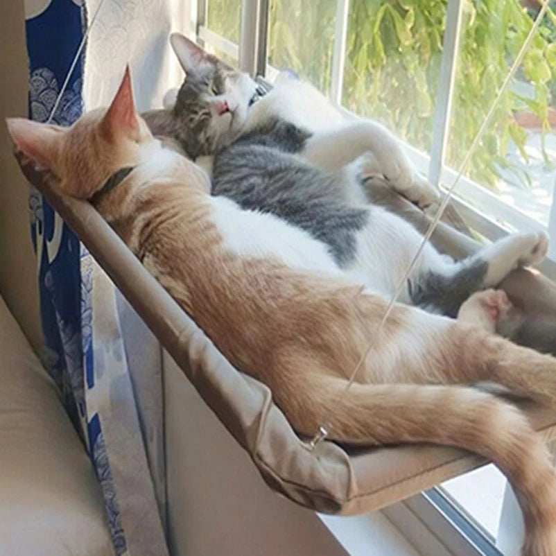 Sunny Window Cat Hammock Bed