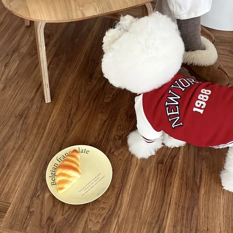 Varsity Cozy Dog Sweatshirt