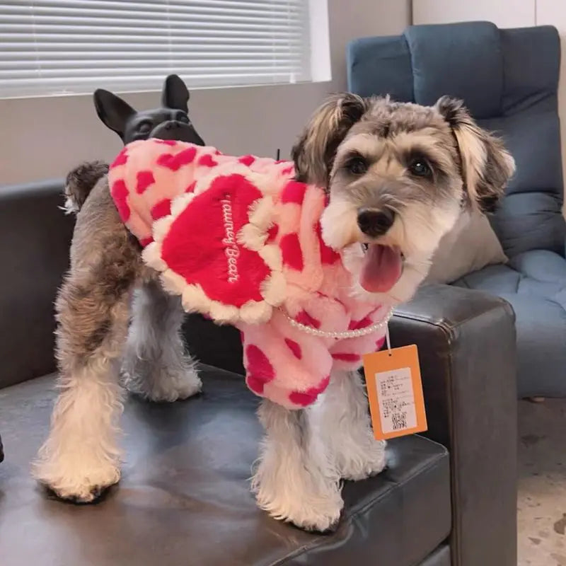 Sweetheart Snuggle Hoodie