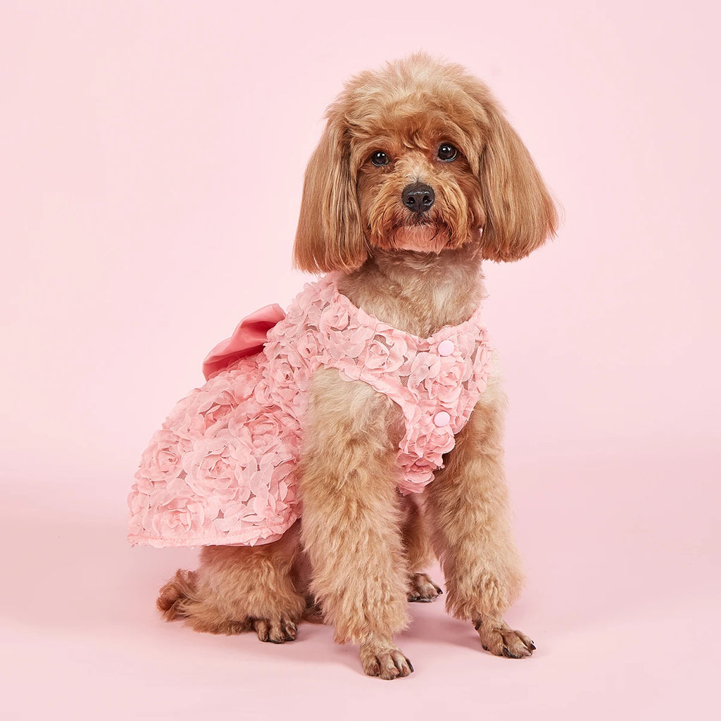 Pink Rose Bow Princess Dog Dress 🎀🌸