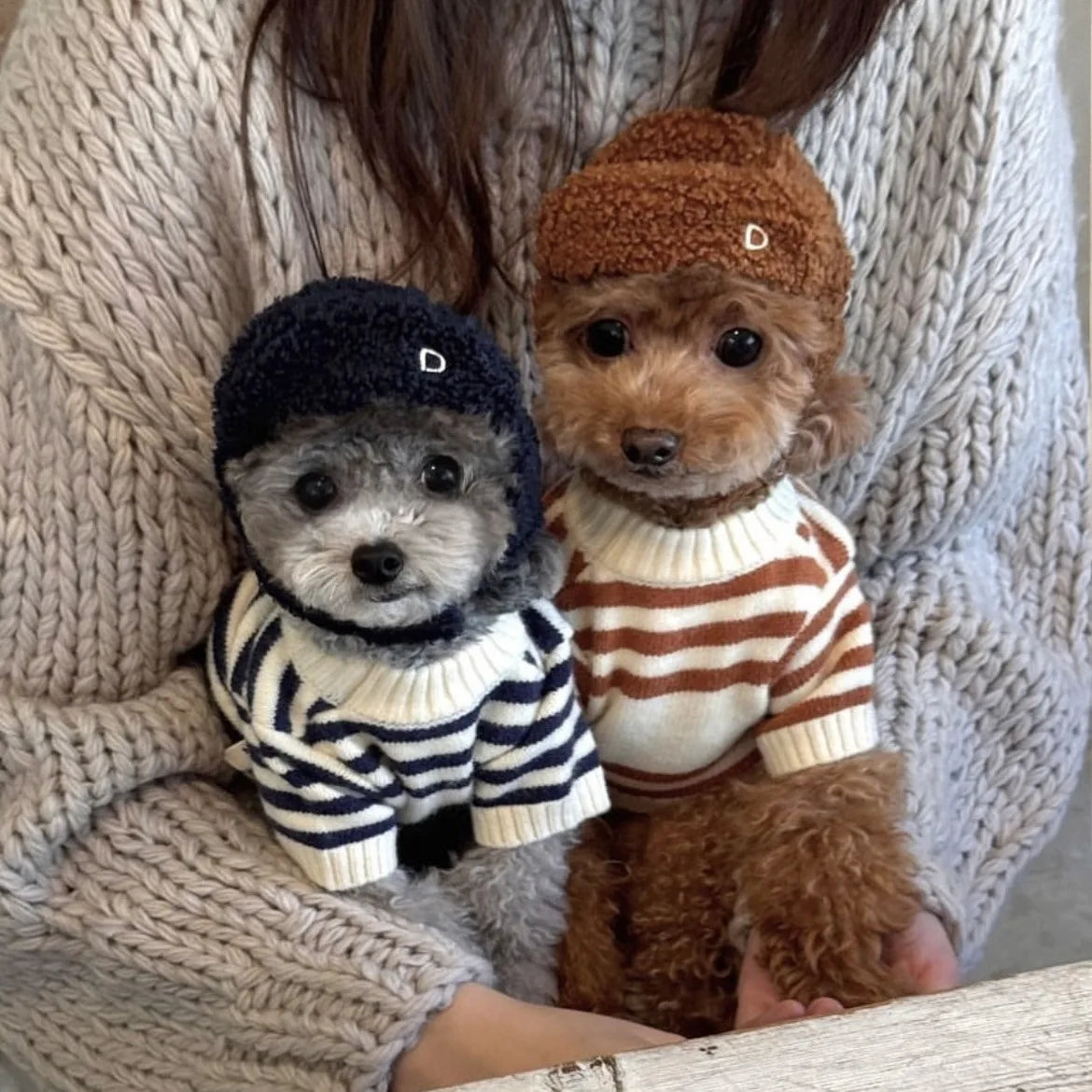 Striped Wool Dog Sweater (Autumn/Winter)