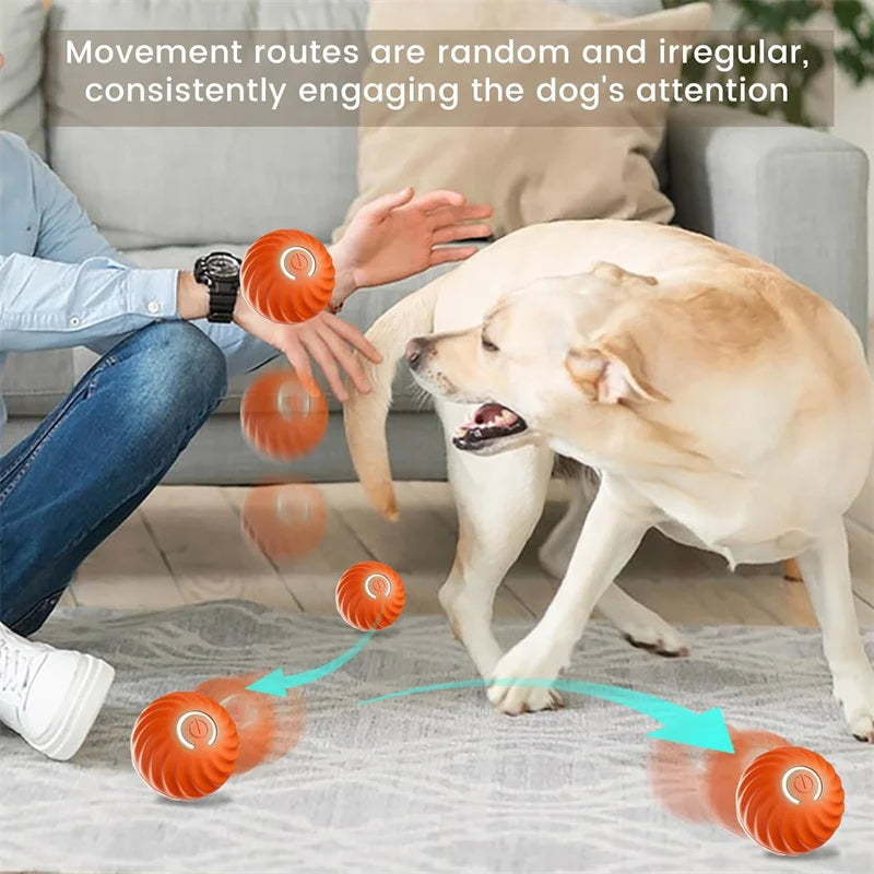 Smart Jump Ball Interactive Pet Toy (USB-C Rechargeable)