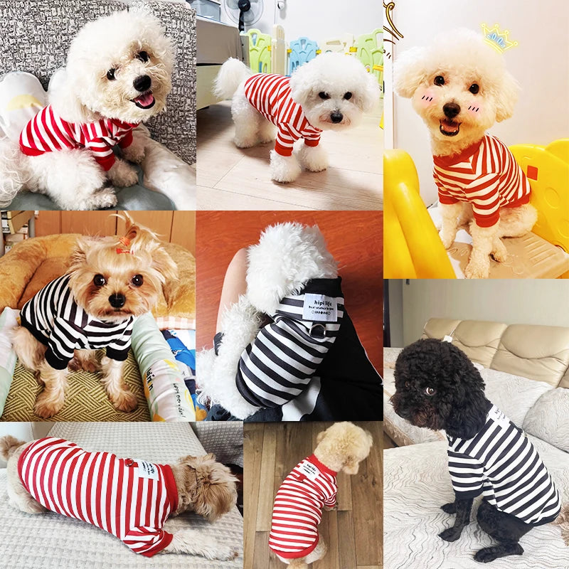Winter Cartoon Dog Hoodie Sweatshirt (XS–XXL)
