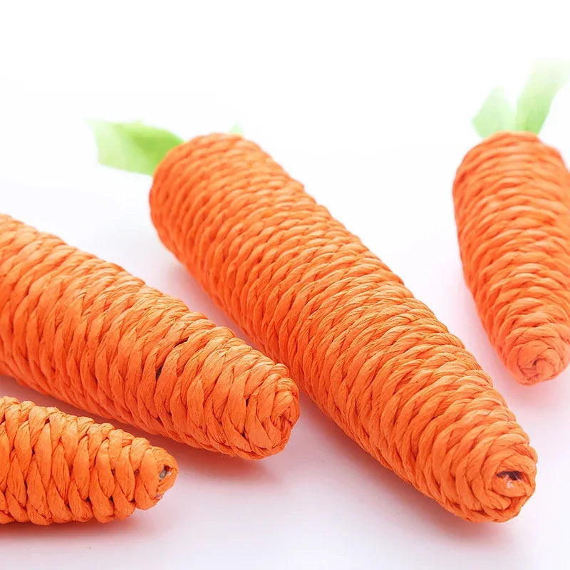 🥕Squeaky Carrot Cat Toy