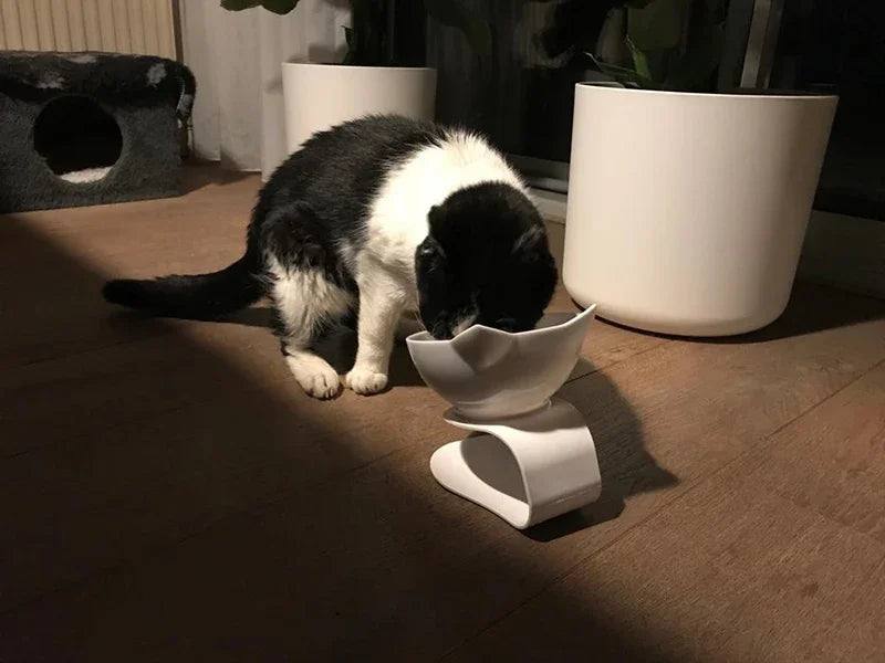 Detachable Food & Water Bowl Set for Cats & Small Dogs