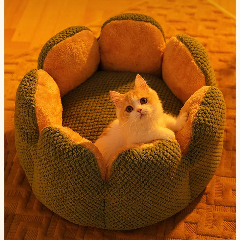 Cactus Flower Cat Bed (Plush Pet Nest for Cozy Naps) 🌵🌸🐱