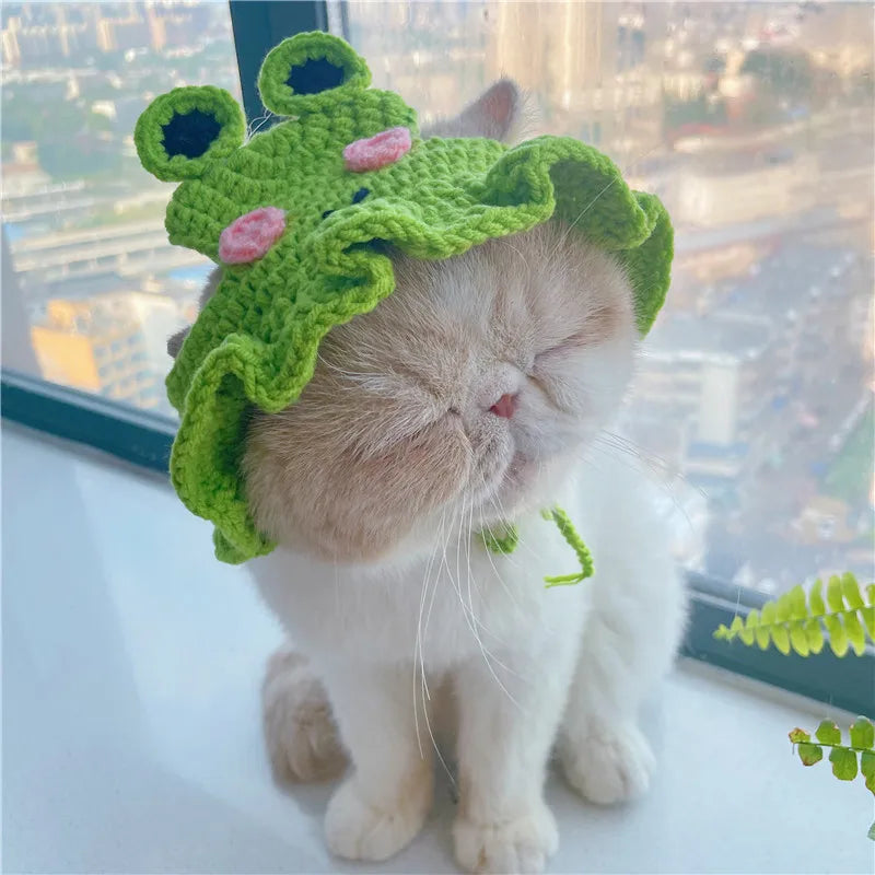 Cute Knit Cat & Dog Photo Hat (S/M)
