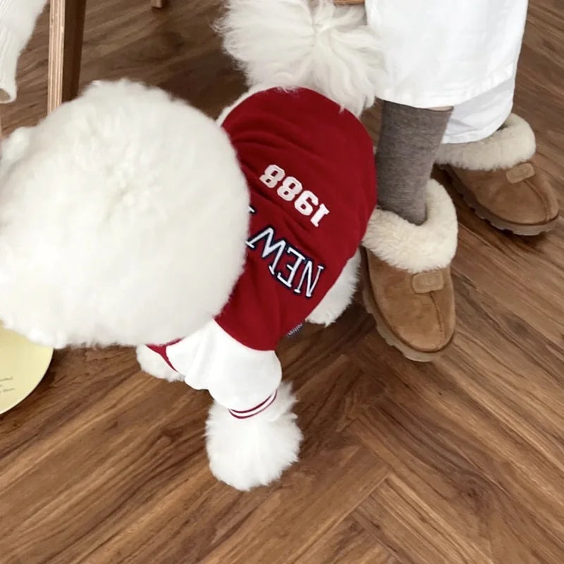 Varsity Cozy Dog Sweatshirt
