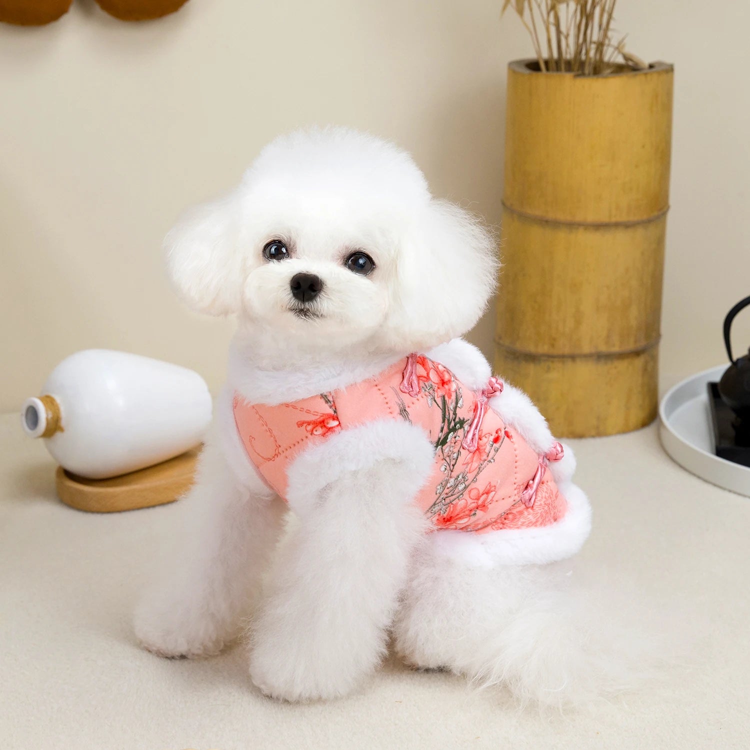 Chinese New Year Tang Suit Warm Dog Vest Jacket 🧧🐶✨
