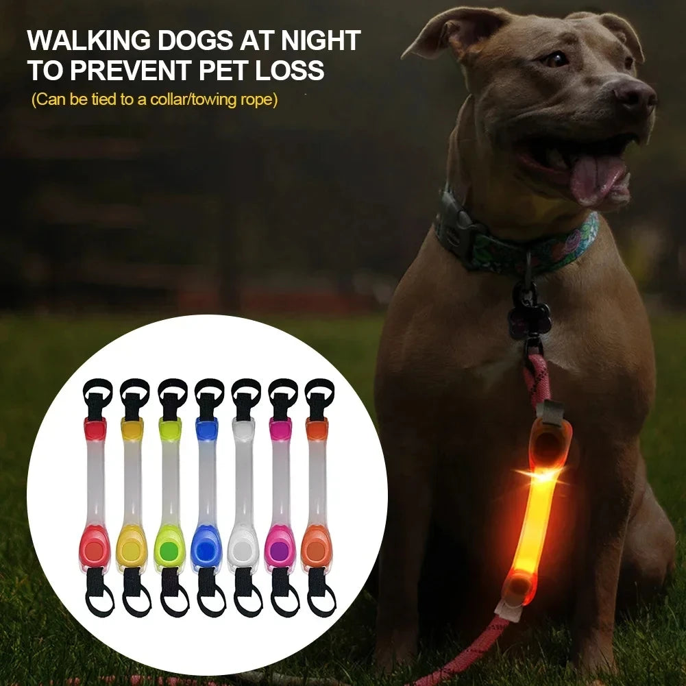 NightGlow LED Safety Light for Dog Collar/Leash (Multi-Color)
