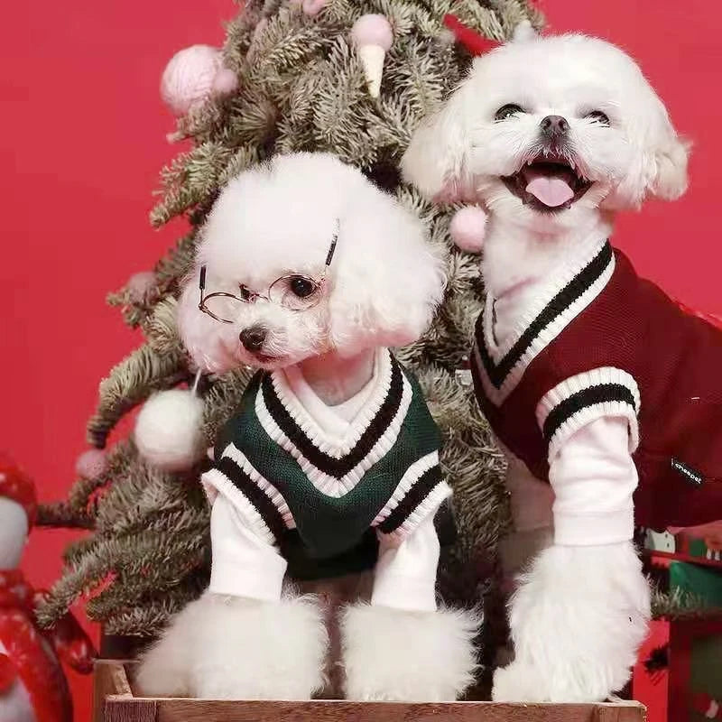 🐶Cozy V-Neck Knit Sweater