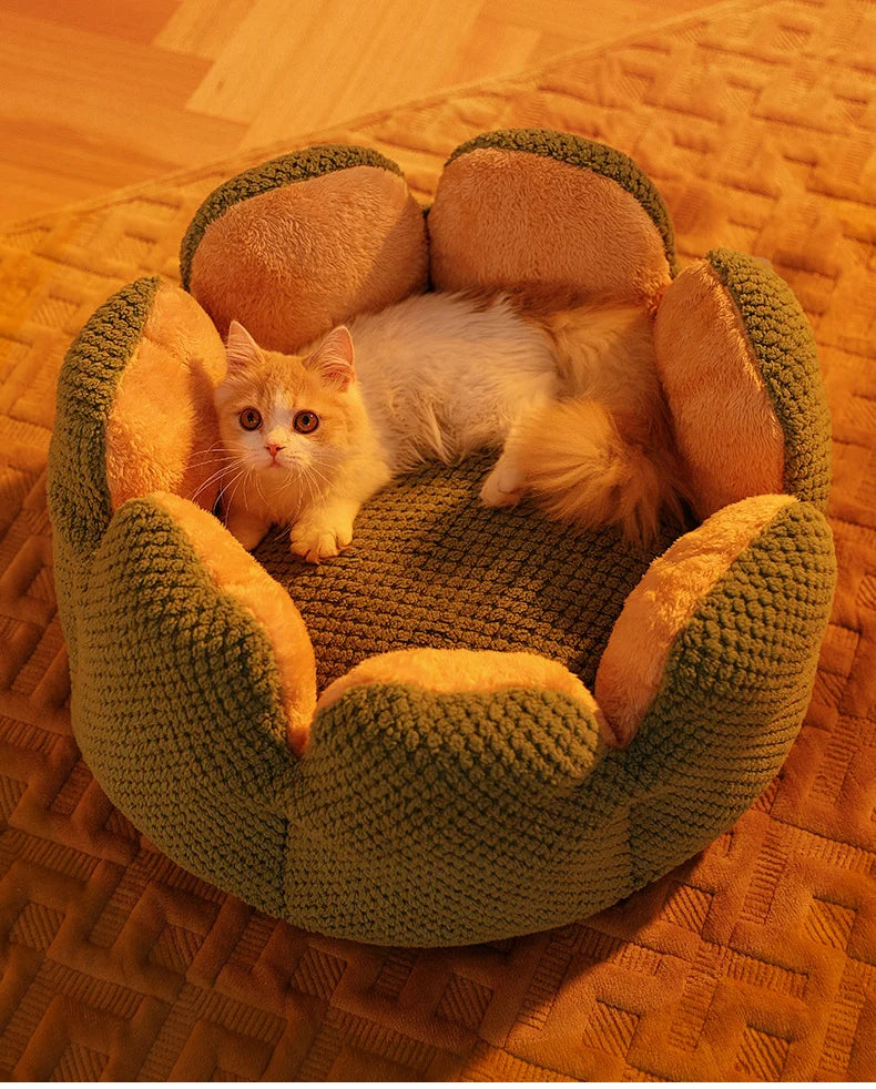 Cactus Flower Cat Bed (Plush Pet Nest for Cozy Naps) 🌵🌸🐱