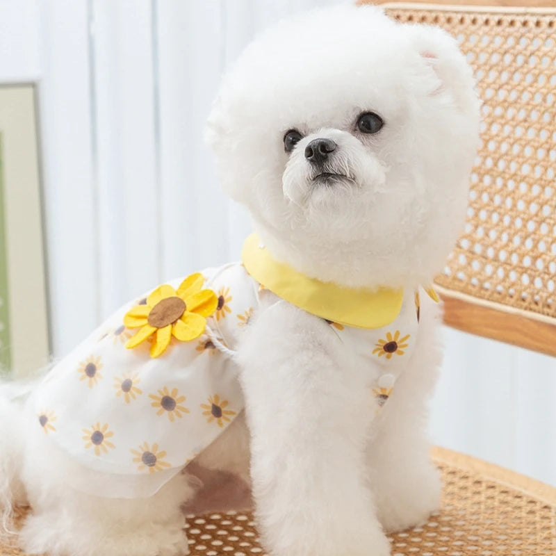 Sunflower Princess Mesh Dog Dress 🌼👗