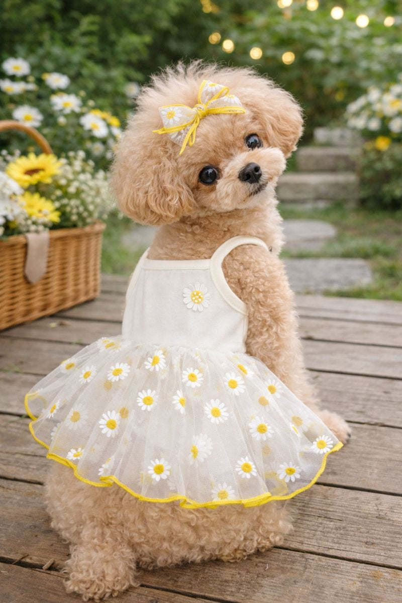 Daisy Sunshine Tutu Dress