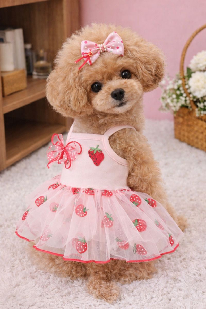 Berry Princess Mesh Dress